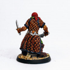 Picture of print of Pirate Brigand [Pre-Supported]
