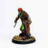 Pirate Brigand [Pre-Supported] print image