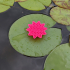 Water Lilly Pond Filter Media image