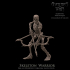 Skeleton Warriors image