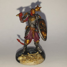 Picture of print of Hellfire Inquisitors