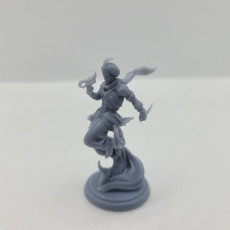 Picture of print of David  the fire Thief 75mm and 32mm pre-supported