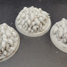Picture of print of Mummified Scarab Swarms