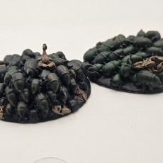Picture of print of Mummified Scarab Swarms