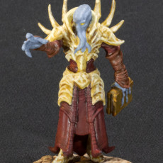 Picture of print of Xer'Thul, The Xeredian Arcanist