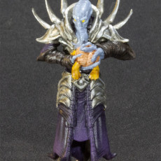 Picture of print of Xer'Thul, The Xeredian Arcanist