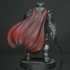 Void Knight Ready Pose (Display Model) image