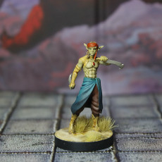 Picture of print of Jannah, Mazigh Desert Elf Tracker and Fox (Pre-Supported)