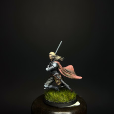 Picture of print of Emlyn - Charging Warrior