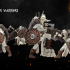 Viking Warriors image