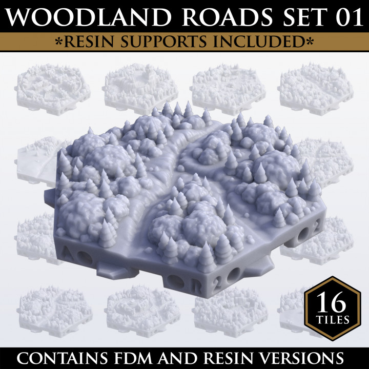Hexton Hills Woodland Roads Set 01's Cover