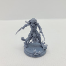 Picture of print of Leonin tabaxi warrior 32mm pre-supported