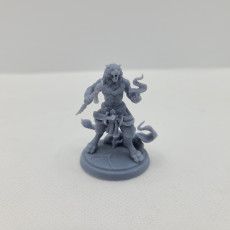 Picture of print of Tabaxi leonin mage 32mm pre-supported
