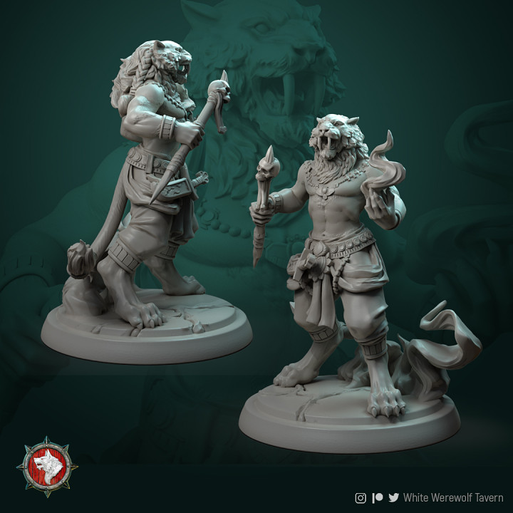 $5.00Tabaxi leonin mage 32mm pre-supported