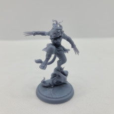 Picture of print of Tabaxi warrior 32mm pre-supported
