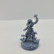 Picture of print of Tabaxi shaman 32mm pre-supported