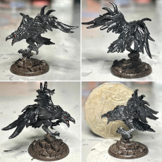 Picture of print of Aaron on Shadowclaws the Dire Raven (Hero and Mount) This print has been uploaded by Kasey Elizabeth
