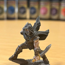 Picture of print of Thieves Guild Adept - Modular A