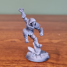 Picture of print of Thieves Guild Adept - Modular C