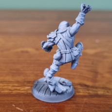 Picture of print of Thieves Guild Adept - Modular C