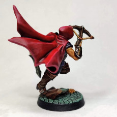 Picture of print of Thieves Guild Adept - Modular D