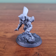 Picture of print of Thieves Guild Adept - Modular E