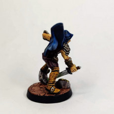 Picture of print of Thieves Guild Adept - Modular E This print has been uploaded by Haakon