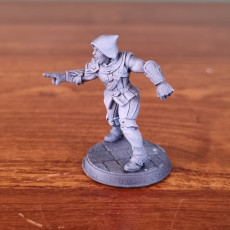 Picture of print of Thieves Guild Adept - Modular F