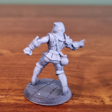 Picture of print of Thieves Guild Adept - Modular F