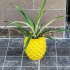 Pineapple planter image