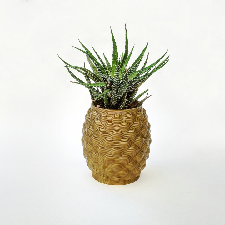 Pineapple planter