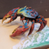 Crab print image