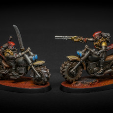 Picture of print of Scavenger Bikers