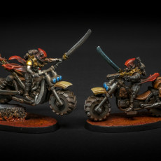 Picture of print of Scavenger Bikers