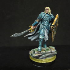 Picture of print of Elven Paladin - Yinsylim