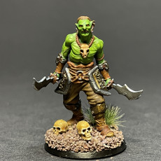 Picture of print of Serious Goblin