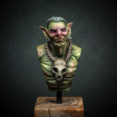 Picture of print of Serious Goblin (BUST)