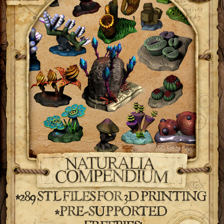 Pick A Prop! Naturalia Compendium Complete Set's Cover