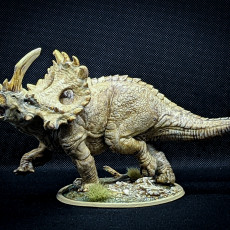 Picture of print of Sinoceratops Alpha This print has been uploaded by Mike Abraham