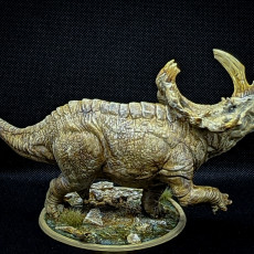 Picture of print of Sinoceratops Alpha This print has been uploaded by Mike Abraham