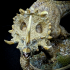 Sinoceratops Alpha print image