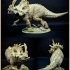 Sinoceratops Alpha print image