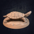 Great Turtle Quinto Navadi - Presupported image