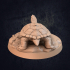 Great Turtle Quinto Navadi - Presupported image