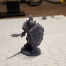 Picture of print of Footman - 28 mm miniature 3D print model This print has been uploaded by Benoit Blanco Ferrero