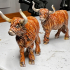 Highland Cow (pre-supported) print image