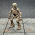 Skeleton Miniature image