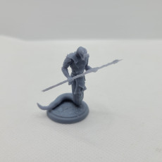 Picture of print of Snake Warrior (3 poses and dozens of variations)