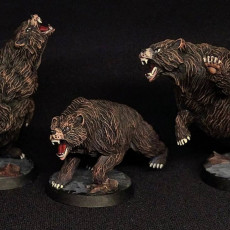 Picture of print of Bear Pack [Pre-Supported]