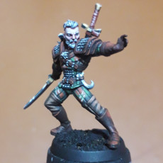 Picture of print of Ravhald of Giva - witcher- 32mm - DnD -
